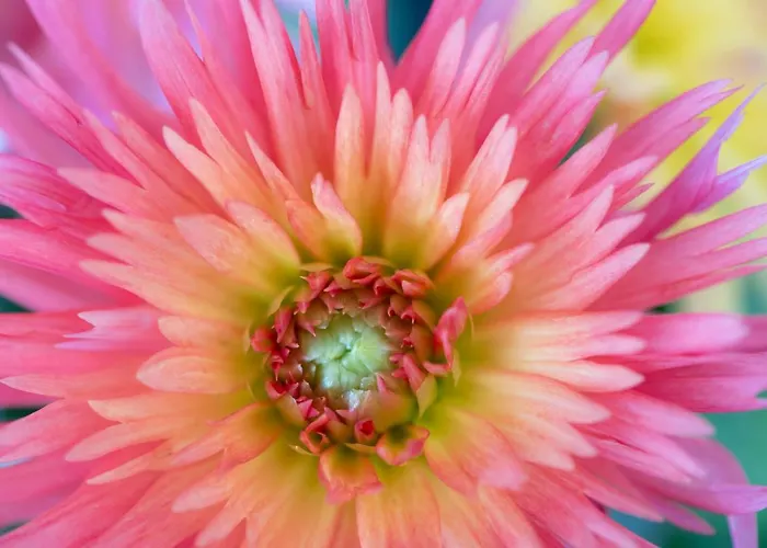 Arcobaleno מלון סיינה