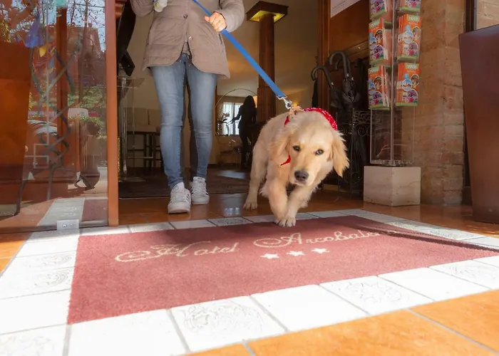 Arcobaleno 3* סיינה