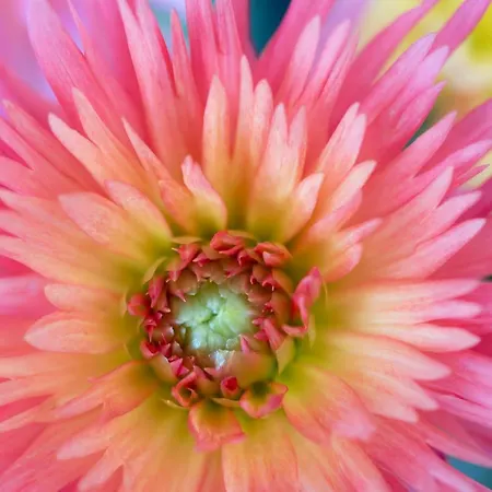 Arcobaleno Hotel Siena